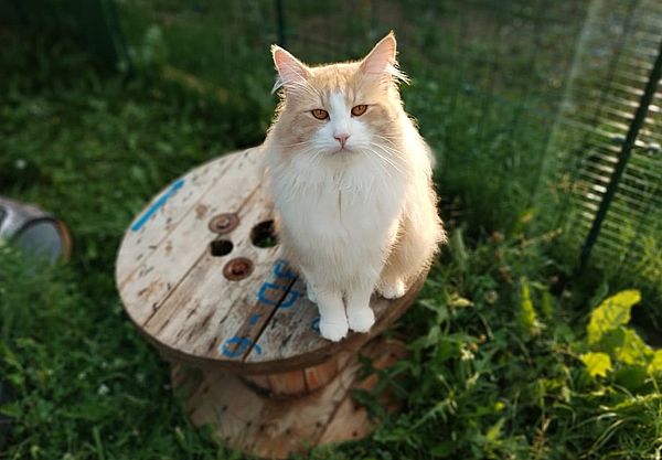 57Ninos_im_Frhjahr_2025