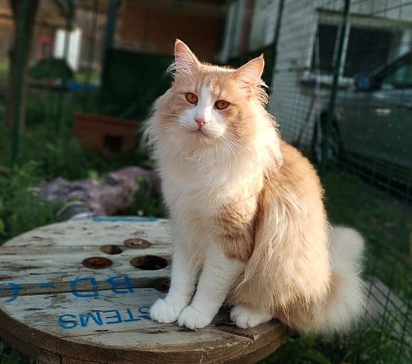 58Ninos_im_Frhjahr_2025