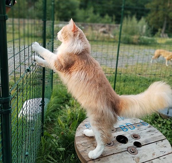 59Ninos_im_Frhjahr_2025