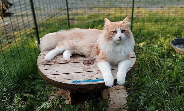 60Ninos_im_Frhjahr_2025