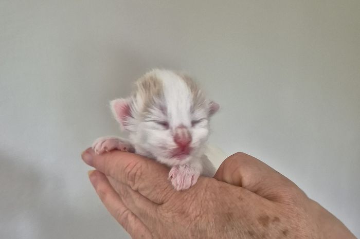 01Odette_1_Woche_alt