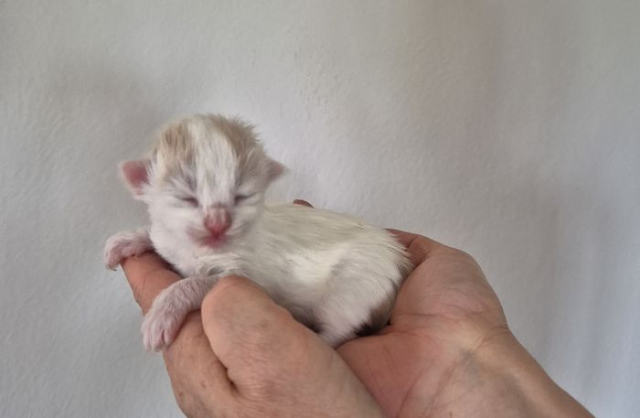 02Odette_1_Woche_alt