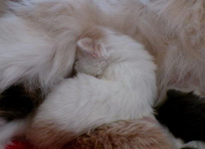 03Odette_2_Wochen_alt