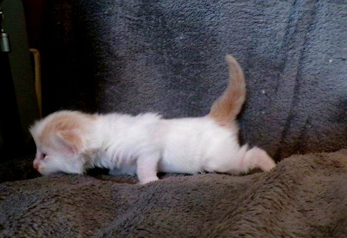 04Odette_2_Wochen_alt