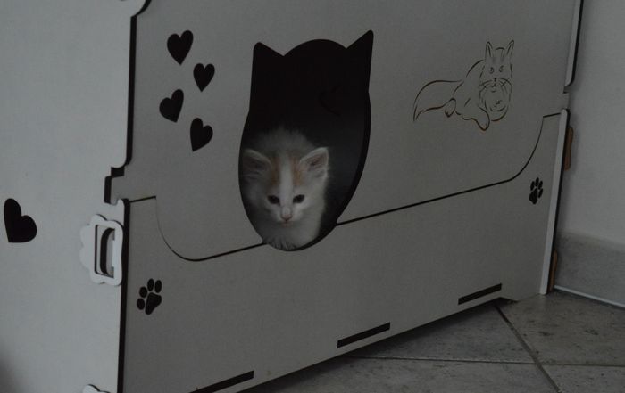 12Odette_7_Wochen_alt