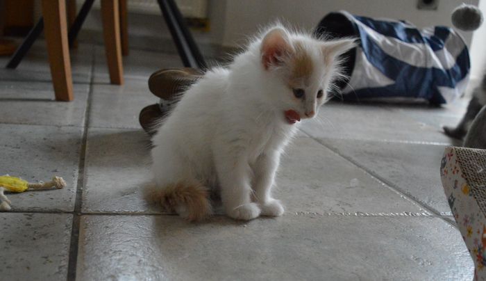 13Odette_7_Wochen_alt