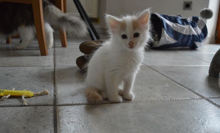 14Odette_7_Wochen_alt