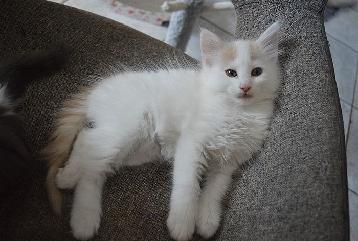 17Odette_8_Wochen_alt