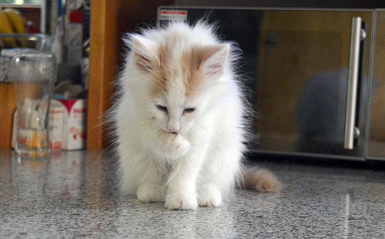 18Odette_10_Wochen_alt