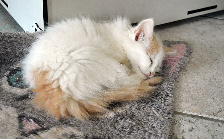 19Odette_10_Wochen_alt