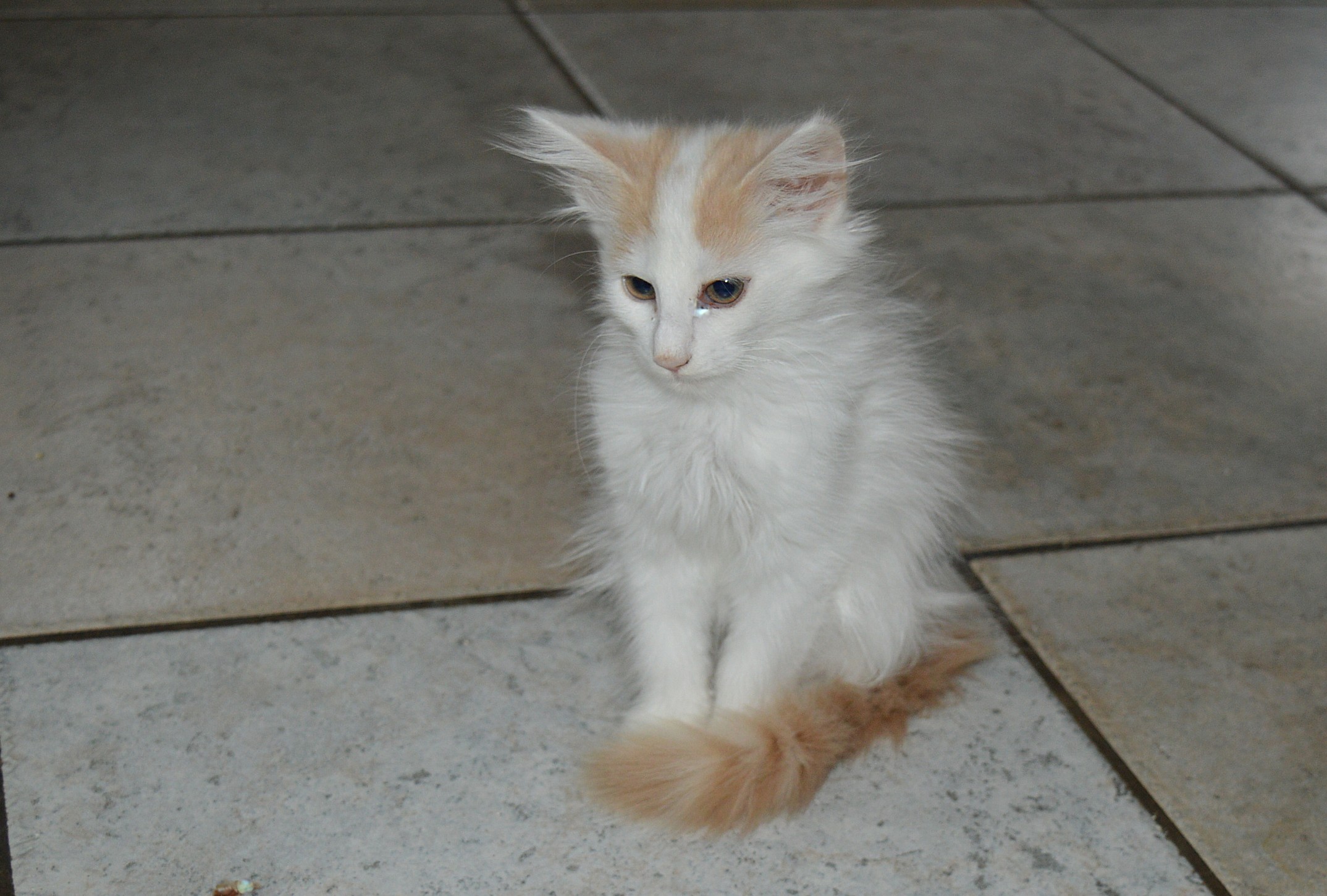 20Odette14_Wochen_alt