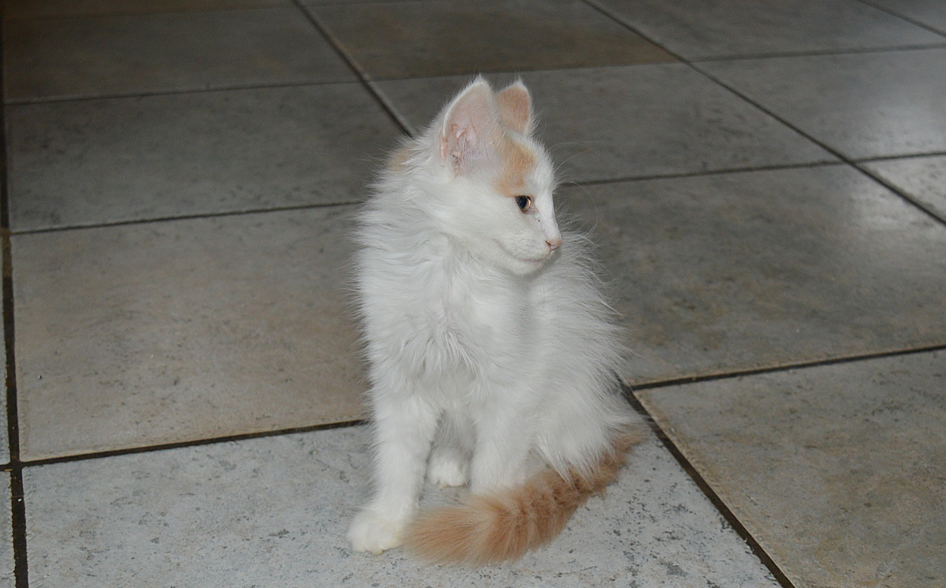 21Odette14_Wochen_alt