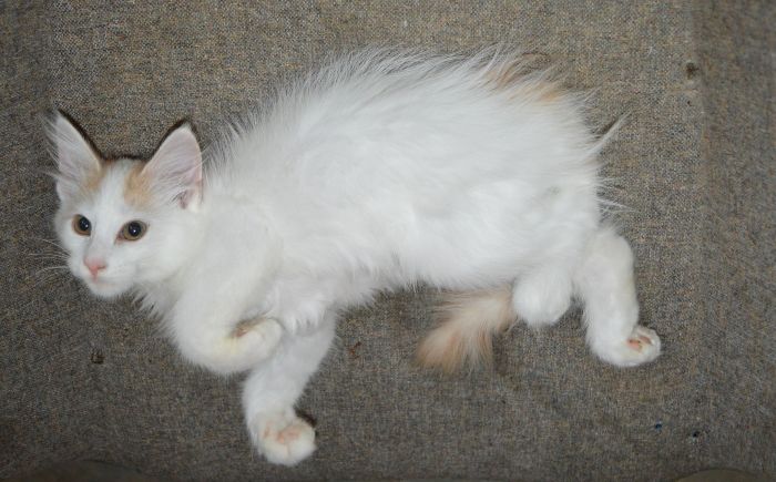 23Odette_17_Wochen_alt