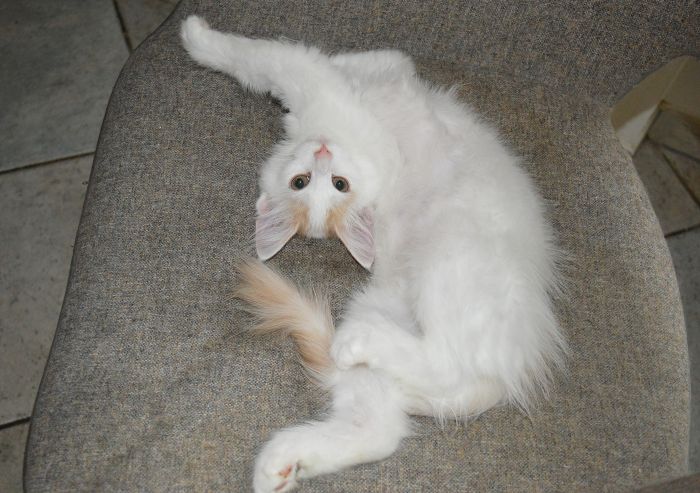 24Odette_17_Wochen_alt