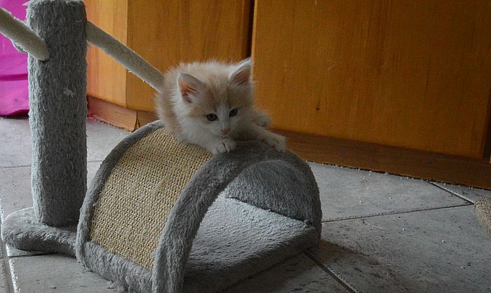 12Odile_7_Wochen_alt