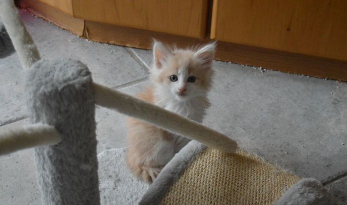 13Odile_7_Wochen_alt