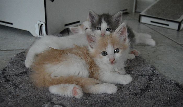 14Odile_7_Wochen_alt