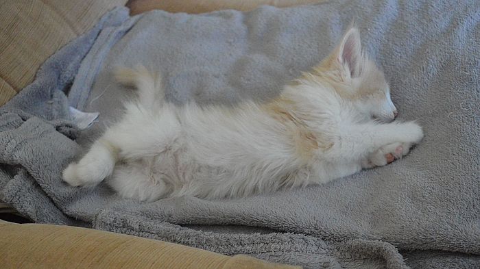 15Odile_8_Wochen_alt