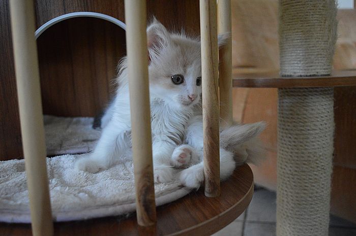 16Odile_8_Wochen_alt