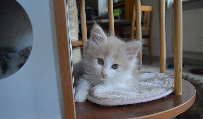 18Odile_8_Wochen_alt