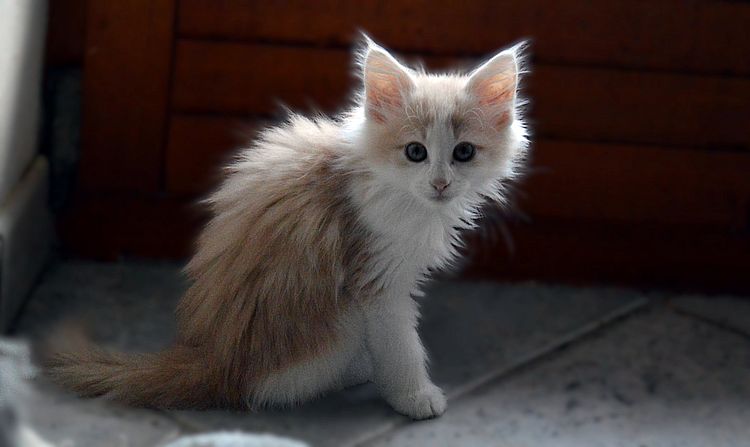 19Odile_10_Wochen_alt