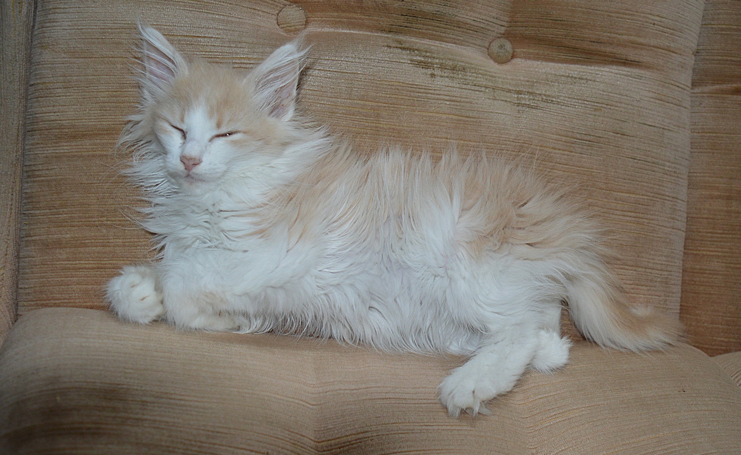 23Odile14_Wochen_alt