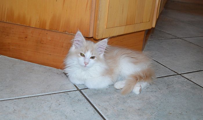 26Odile_17_Wochen_alt