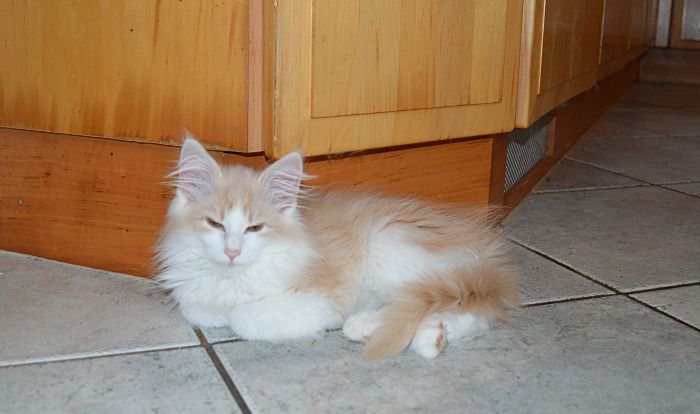 27Odile_17_Wochen_alt