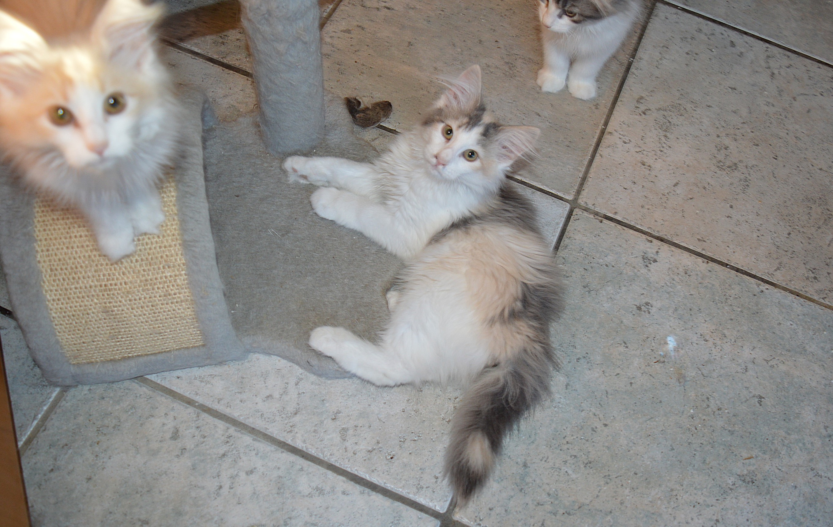 25Ophelia165_Wochen_alt