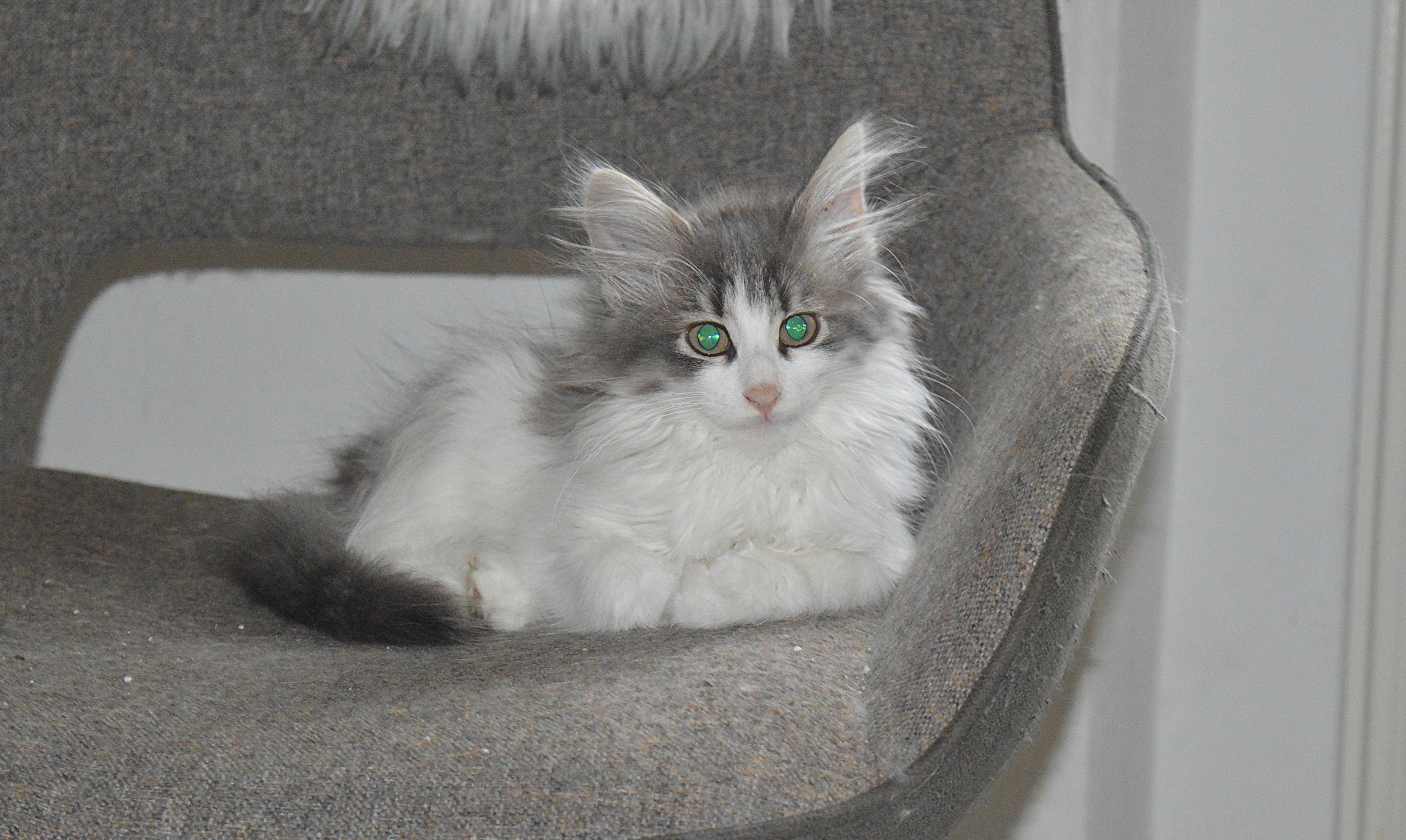 23Orpheus_14_Wochen_alt