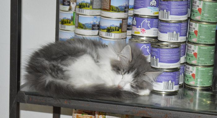 23Othello_165_Wochen_alt