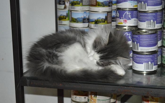 24Othello_165_Wochen_alt